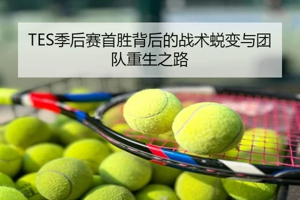 TES季后赛首胜背后的战术蜕变与团队重生之路