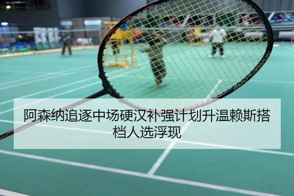 阿森纳追逐中场硬汉补强计划升温赖斯搭档人选浮现